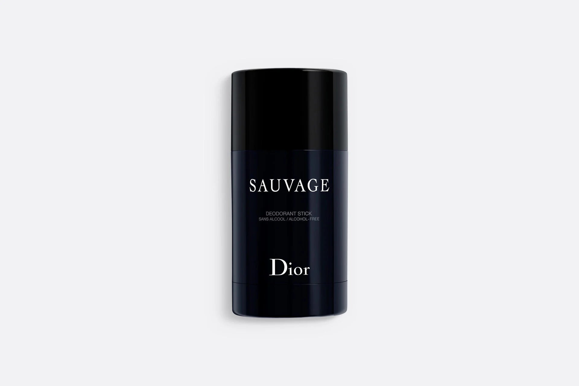DIOR曠野之心體香膏75g